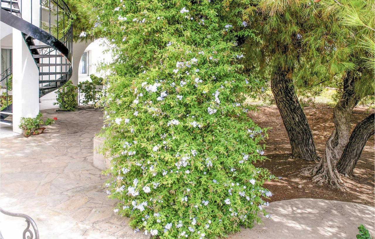Soleiliosonne Haus Zeus Apartamento Ermioni Exterior foto